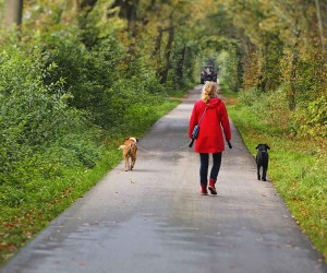 5 Tipps um modisch und warm durch den Herbst zu kommen